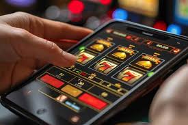 Exploring the Thrill of Live Casino on BigWins
