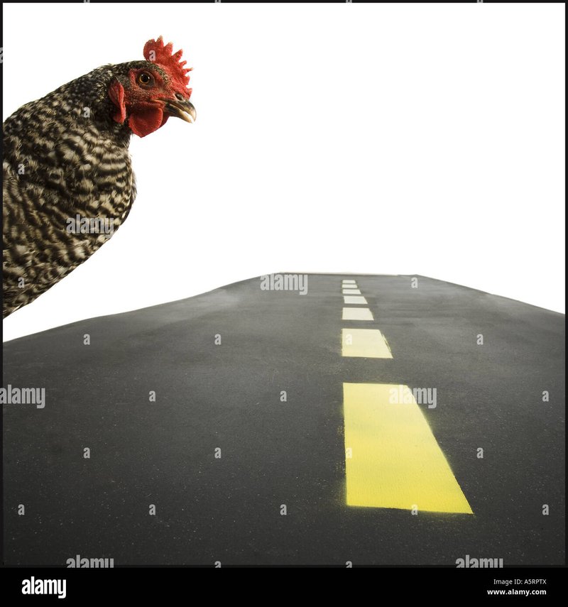 Chicken road oficial in Spain Chicken road oficial in Spain